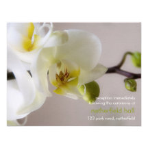 White Orchid • Wedding Reception Invitation