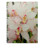 White Orchids Notebook