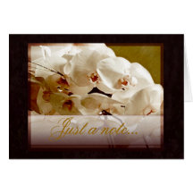 white orchids on red,  Just a note... Greeting Card