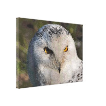 White Owl Canvas Wall Art Print Canvas Print