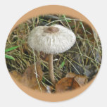 White Parasol Mushroom Coordinating Items Stickers