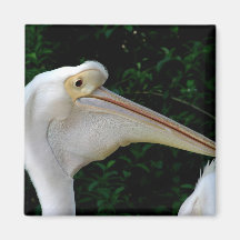 White pelican refrigerator magnet