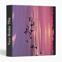 White Pelicans and Evening Sun Binder