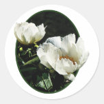 White Peonies Stickers