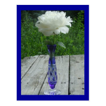 White Peony Blue Caesar Crystal Czech Vase Post Cards