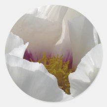 White Peony Flower Sticker