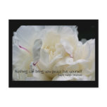 White Peony Inspirational Flower Photo Postcard