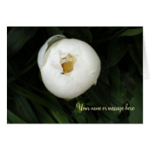 White Peony Notecards