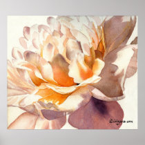 White Peony Watercolor Poster Print