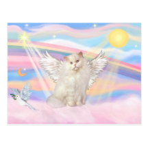 White Persian Cat Angel in Clouds Postcards