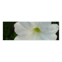 White Petunia Flower Bookmark Business Card Templates