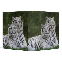 White phase, Bengal Tiger, Tigris Vinyl Binders