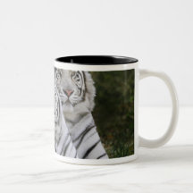 White phase, Bengal Tiger, Tigris Coffee Mugs