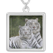 White phase, Bengal Tiger, Tigris Custom Jewelry
