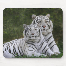 White phase, Bengal Tiger, Tigris Mouse Pad