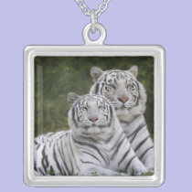 White phase, Bengal Tiger, Tigris necklaces