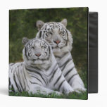 White phase, Bengal Tiger, Tigris Vinyl Binders