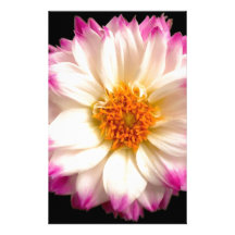 White Pink Flower Black Stationery
