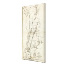 White Plains and Weapons Canvas Prints