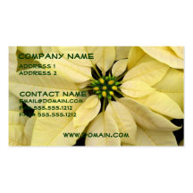 White Poinsettia Business Card