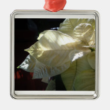 White Poinsettia Detail (in colour) Ornaments