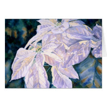 White Poinsettia Greeting Card