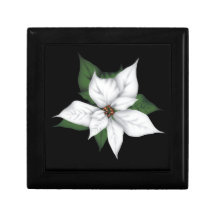 White Poinsettia Holiday Gift box