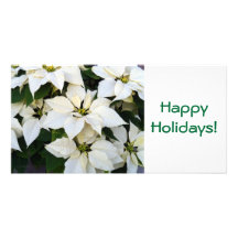 White Poinsettias Photo Card