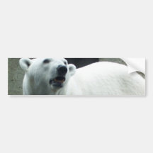 White Polar Bear Bumper Sticker