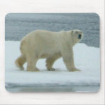 White Polar Bear Mouse Pad