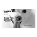 White Pomeranian Dog Business Card business cards
