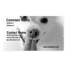 White Pomeranian Dog Business Card