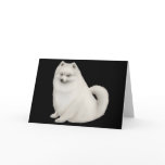 White Pomeranian Dog Greeting Card