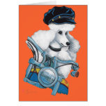 White Poodle Biker Chick in Colour Cards