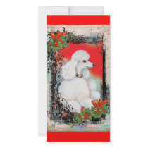 White Poodle Christmas Vintage Style Card