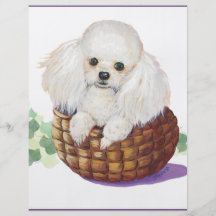 White Poodle in Basket Art Print Flyer