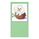 White Poodle in Basket Art Print Invitation Photo Card