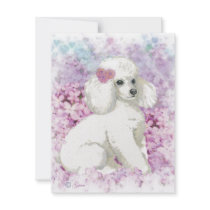 White Poodle in the Lilacs Art and Gifts
