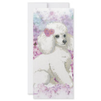 White Poodle in the Lilacs Art and Gifts
