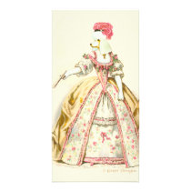 White Poodle Marie Antoinette French Fashion