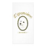 White Poodle Portrait in Gold Frame Art Print Photo Greeting Card