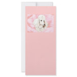 White Poodle Rose Petals Pink Invitation rack cards