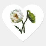 White Poppy Sticker
