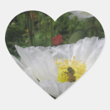 White Poppy with Honey Bee Heart Sticker