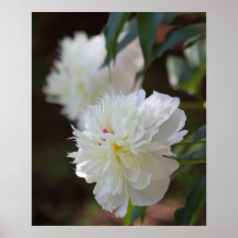 White Poster