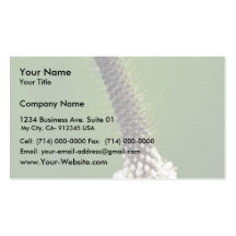 White Prairie Clover Business Cards