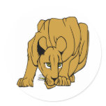 White Puma Cougar Panther Mountain Lion stickers