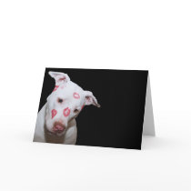 White Puppy Dog Love, Sealed with Lipstick Kisses