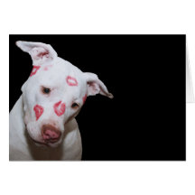 White Puppy Dog Love, Sealed with Lipstick Kisses Greeting Card