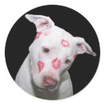 White Puppy Dog Love, Sealed with Lipstick Kisses Round Stickers